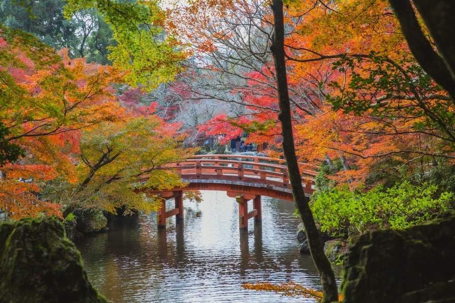 a serene lake depicting mindful happiness.